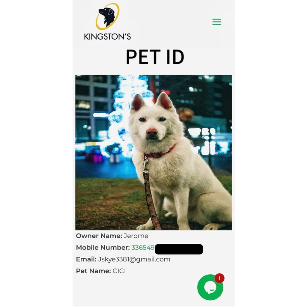 A pet collar carrying a Kingston's QR ID tag