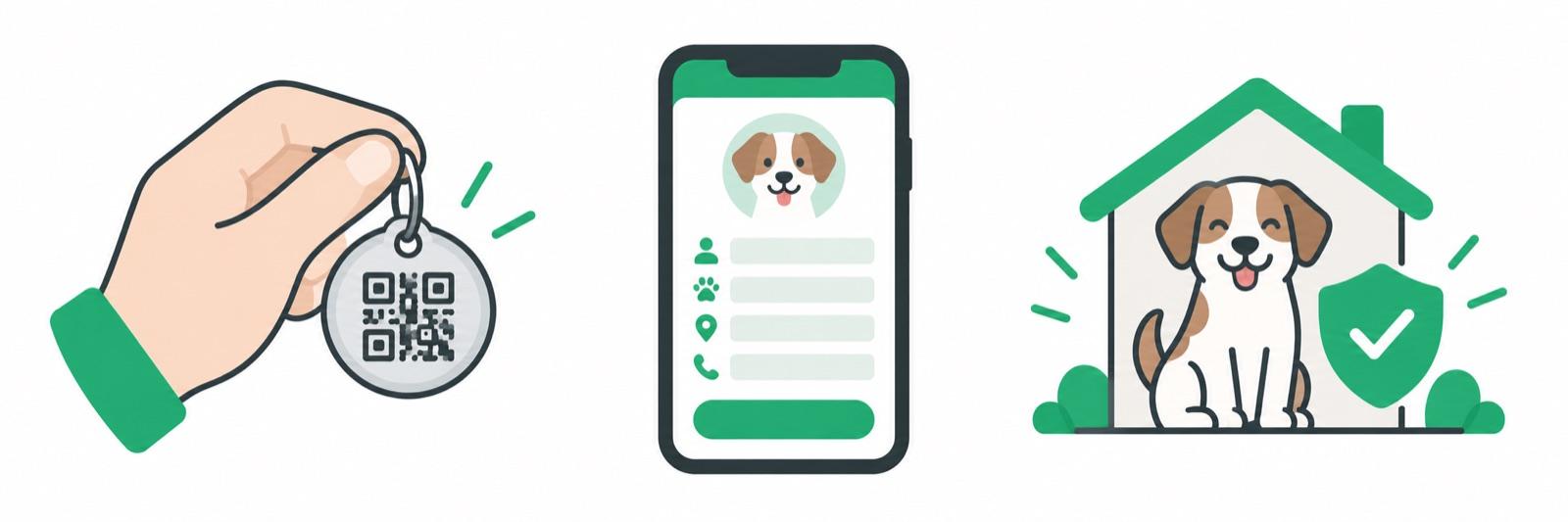 Three steps: hold the tag, add your pet's details, your pet is safe
