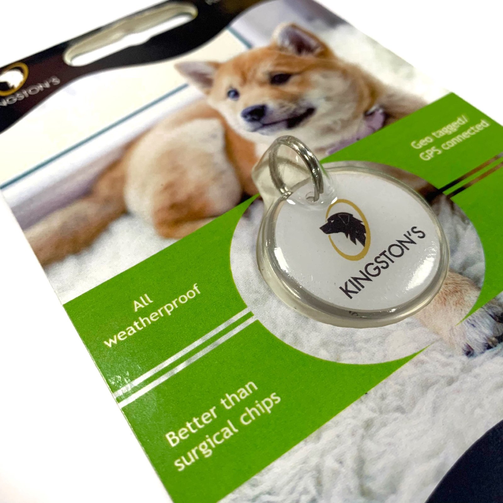 best-digital-pet-tags-gps-qr-code-pet-tags-kingston-s-pet